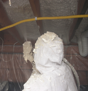 Pembroke Pines FL crawl space insulation